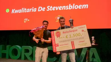 Kwalitaria van het jaar 2025